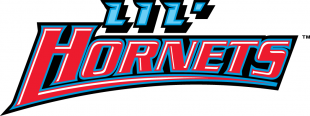 Delaware State Hornets 2004-Pres Misc Logo 01 Sticker Heat Transfer