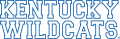 Kentucky Wildcats 2005-2015 Wordmark Logo 01 decal sticker