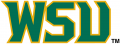 Wright State Raiders 2001-Pres Wordmark Logo 01 decal sticker