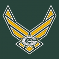 Airforce Green Bay Packers Logo decal sticker