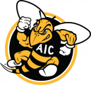 AIC Yellow Jackets 2009-Pres Alternate Logo 02 decal sticker