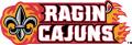 Louisiana Ragin Cajuns 2000-Pres Wordmark Logo 04 decal sticker