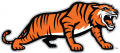 RIT Tigers 2004-Pres Alternate Logo 05 Sticker Heat Transfer