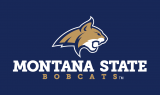 Montana State Bobcats 2013-Pres Alternate Logo 06 decal sticker