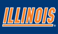 Illinois Fighting Illini 1989-2013 Wordmark Logo 04 Sticker Heat Transfer