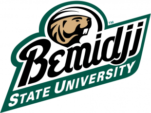 Bemidji State Beavers 2004-Pres Alternate Logo Sticker Heat Transfer