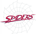 Richmond Spiders 2002-Pres Wordmark Logo 03 decal sticker