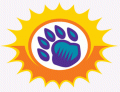 Orlando Solar Bears 2012 13-Pres Secondary Logo decal sticker