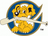 Charleston Riverdogs 1996-2010 Cap Logo Sticker Heat Transfer