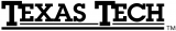 Texas Tech Red Raiders 2000-Pres Wordmark Logo decal sticker