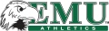 Eastern Michigan Eagles 2003-2012 Alternate Logo 01 decal sticker