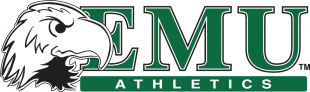 Eastern Michigan Eagles 2003-2012 Alternate Logo 01 Sticker Heat Transfer