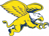 Canisius Golden Griffins 1999-2005 Secondary Logo 02 decal sticker
