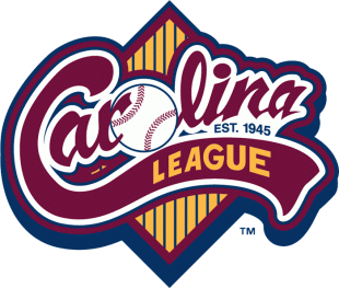 Carolina League 1995-Pres Primary Logo decal sticker
