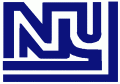 New York Giants 1975 Primary Logo Sticker Heat Transfer