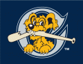 Charleston Riverdogs 2011-2015 Cap Logo decal sticker