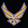 Airforce Minnesota Vikings Logo decal sticker
