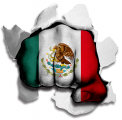 Fist Mexico Flag Logo decal sticker