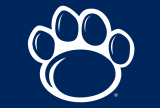 Penn State Nittany Lions 2005-Pres Secondary Logo Sticker Heat Transfer