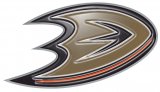 Anaheim Ducks Plastic Effect Logo Sticker Heat Transfer