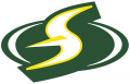 Seattle Storm 2016-Pres Alternate Logo decal sticker