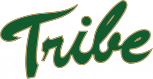 William and Mary Tribe 2009-2015 Primary Logo Sticker Heat Transfer