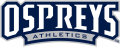 UNF Ospreys 2014-Pres Wordmark Logo 01 decal sticker