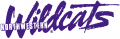 Northwestern Wildcats 1981-Pres Wordmark Logo 02 Sticker Heat Transfer