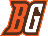 Bowling Green Falcons 2006-2011 Alternate Logo 02 decal sticker