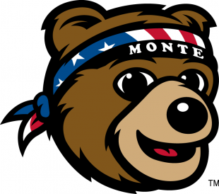 Montana Grizzlies 2010-Pres Mascot Logo 02 Sticker Heat Transfer