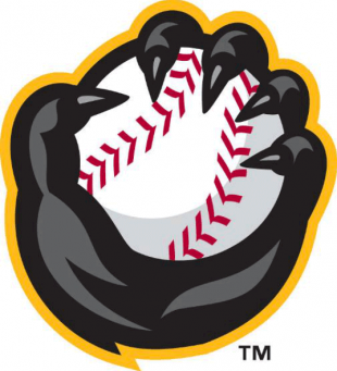 Quad Cities River Bandits 2014-Pres Alternate Logo Sticker Heat Transfer