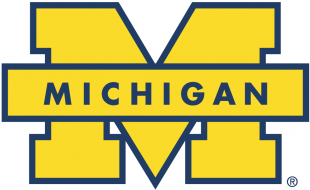 Michigan Wolverines 1996-Pres Secondary Logo 01 decal sticker