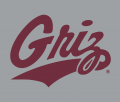 Montana Grizzlies 1996-Pres Alternate Logo 05 decal sticker