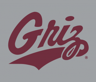 Montana Grizzlies 1996-Pres Alternate Logo 05 Sticker Heat Transfer