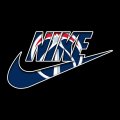 Washington Wizards Nike logo decal sticker