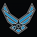 Airforce Carolina Panthers Logo Sticker Heat Transfer