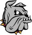 Minnesota-Duluth Bulldogs 1996-Pres Primary Logo Sticker Heat Transfer