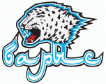 Barys Astana 2008-Pres Primary Logo Sticker Heat Transfer