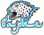 Barys Astana 2008-Pres Primary Logo decal sticker