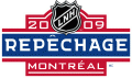 NHL Draft 2008-2009 Language Logo decal sticker