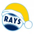 Tampa Bay Rays Baseball Christmas hat logo decal sticker