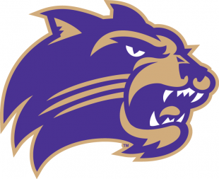 Western Carolina Catamounts 2008-Pres Primary Logo Sticker Heat Transfer