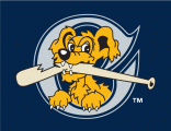 Charleston Riverdogs 2011-2015 Cap Logo Sticker Heat Transfer