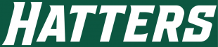Stetson Hatters 2018-Pres Wordmark Logo Sticker Heat Transfer