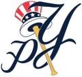 Pulaski Yankees 2015-Pres Secondary Logo Sticker Heat Transfer