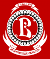 HC Vityaz 2010-Pres Alternate Logo decal sticker
