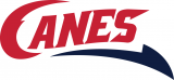 Lethbridge Hurricanes 2013 14-Pres Secondary Logo decal sticker