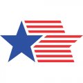 USA Logo 10 Sticker Heat Transfer