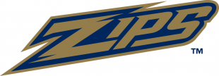 Akron Zips 2002-2013 Wordmark Logo 02 decal sticker