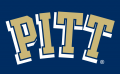 Pittsburgh Panthers 1997-2015 Wordmark Logo 01 decal sticker